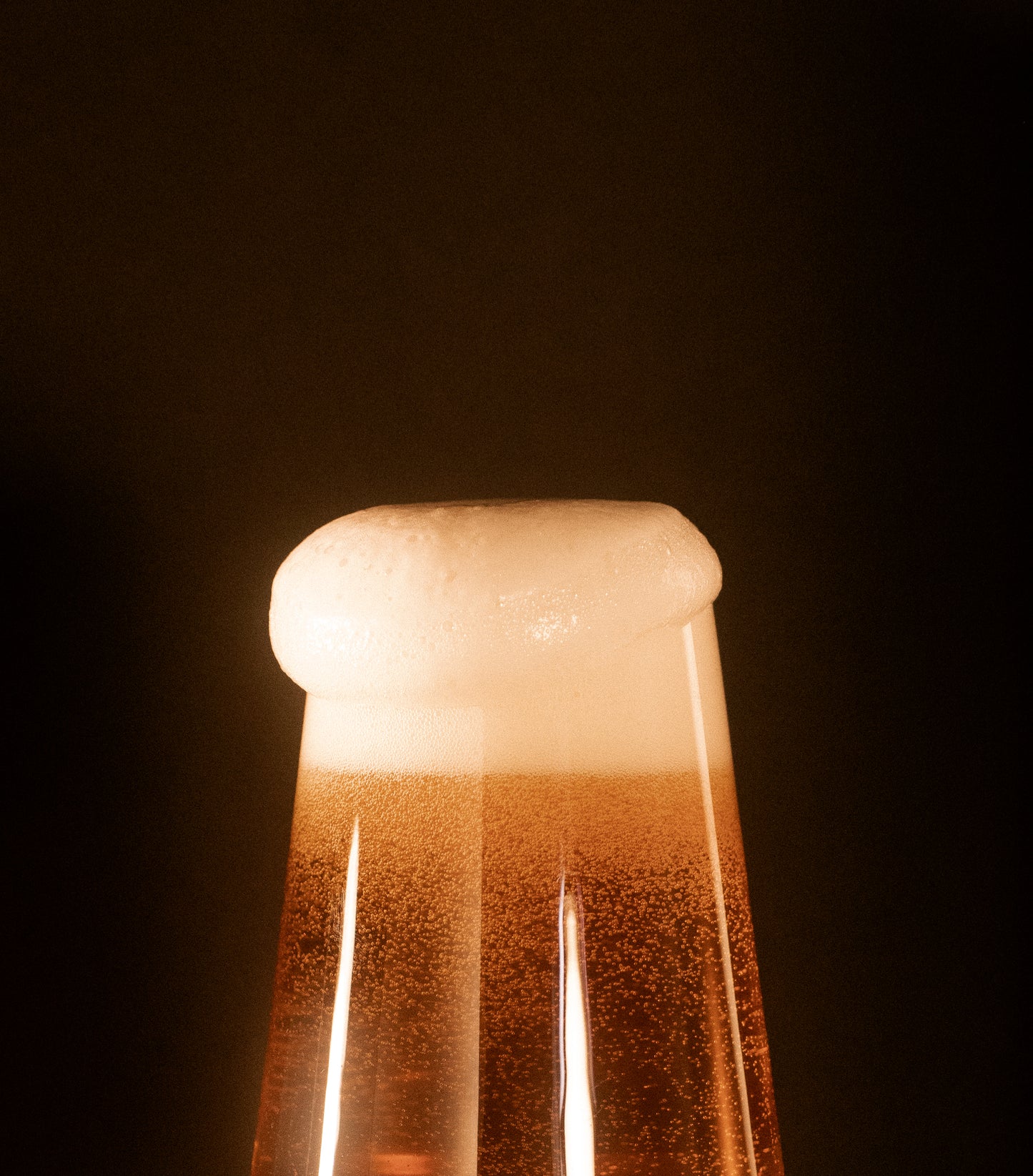 SECONDIS | Vienna Lager | 4% | 1 x 473ml