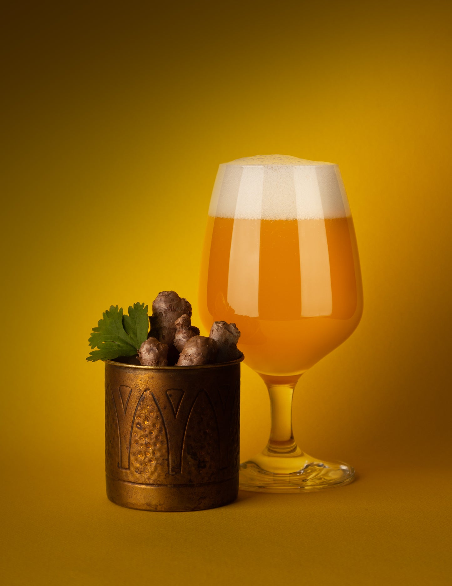 Gingiberi | Gose | 1x473ml